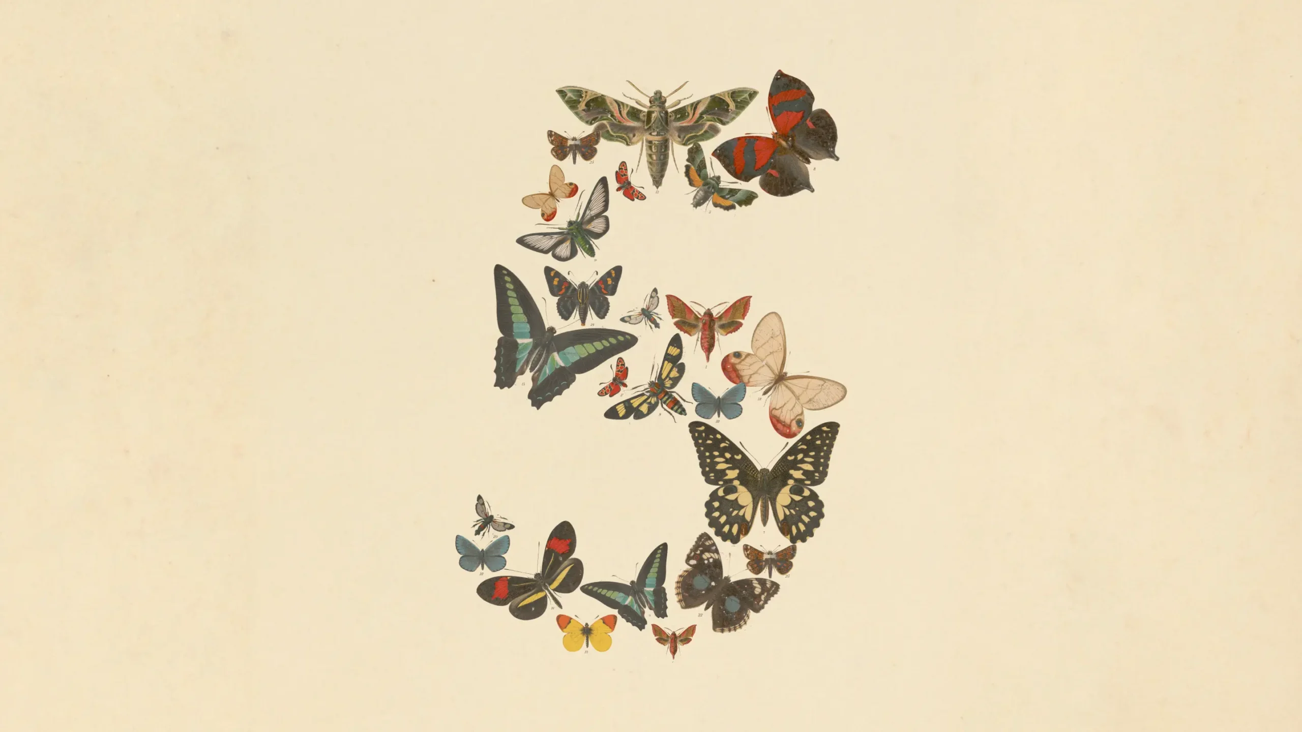 Claude Fable 5 representation